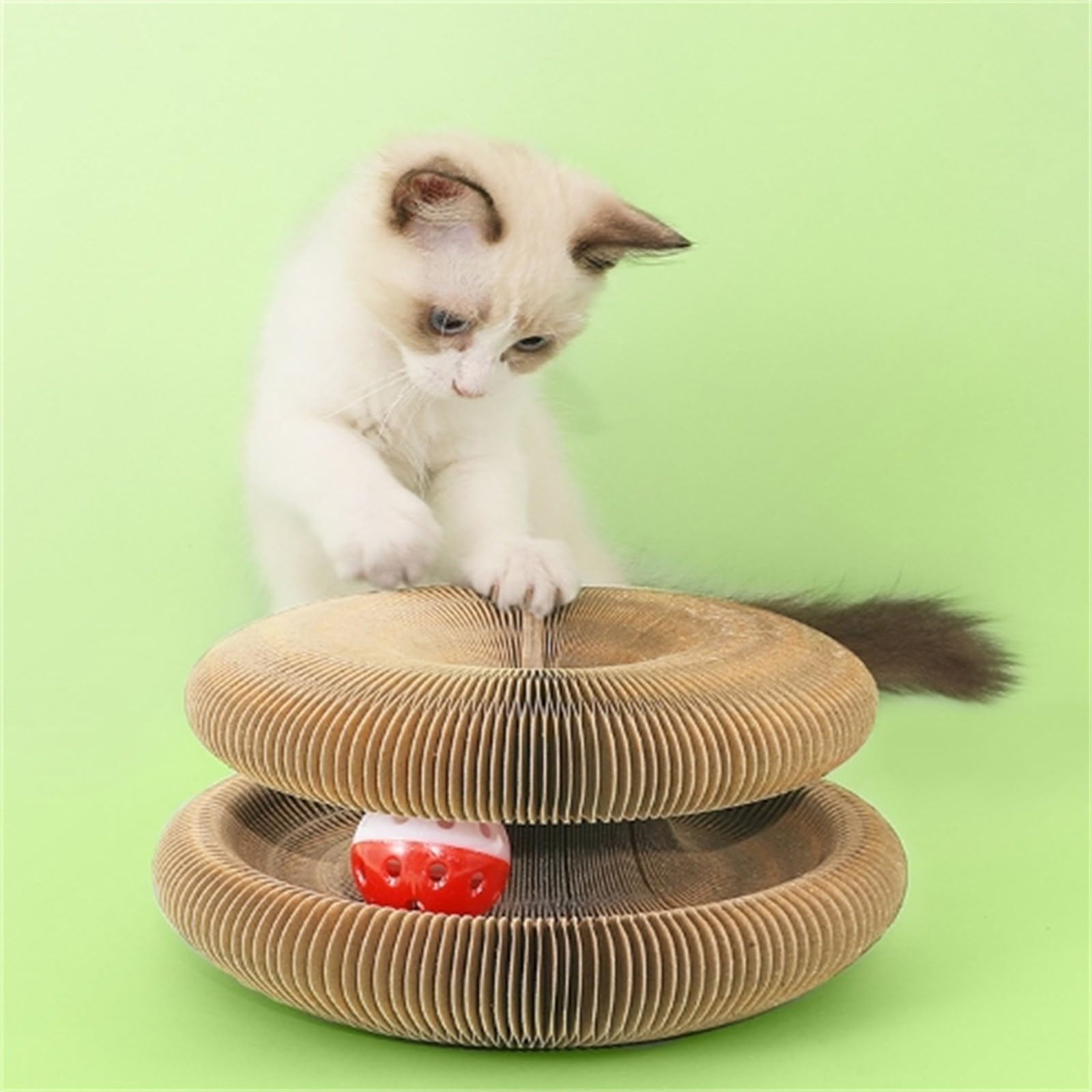 Amazon.com : Kitty Kurlz Cat Toy, Magic Organ Cats Scratching